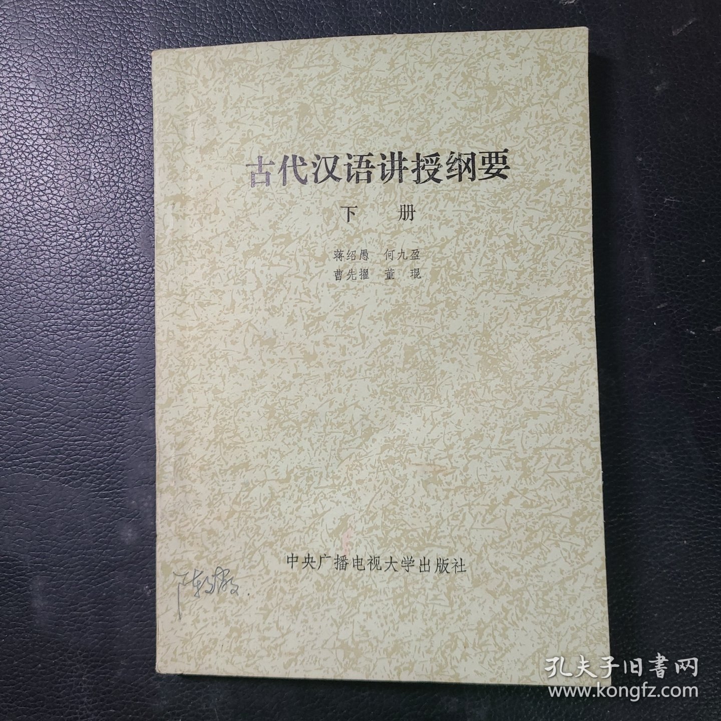 古代汉语讲授纲要下册