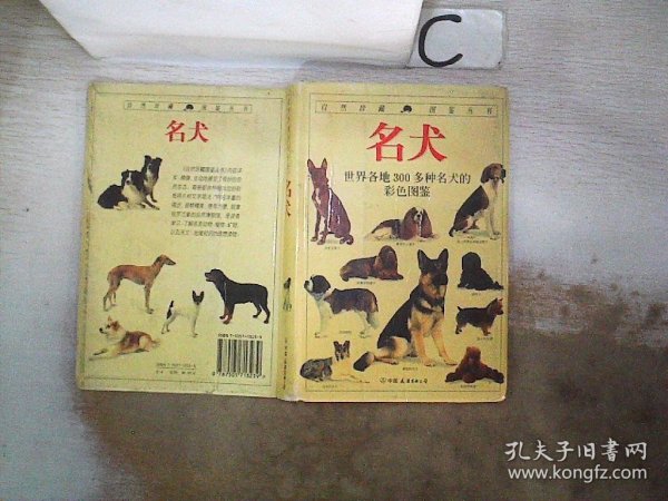 名犬：全世界300多种名犬的彩色图鉴