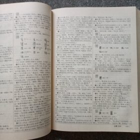 汉语大字典 （1）