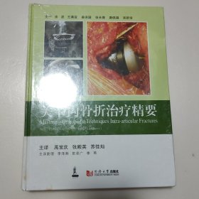 关节内骨折治疗精要（未拆封）