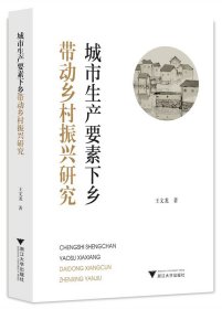 城市生產(chǎn)要素下鄉(xiāng)帶動鄉(xiāng)村振興研究