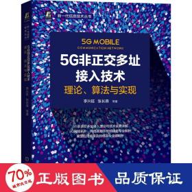 5G非正交多址接入技术：理论、算法与实现