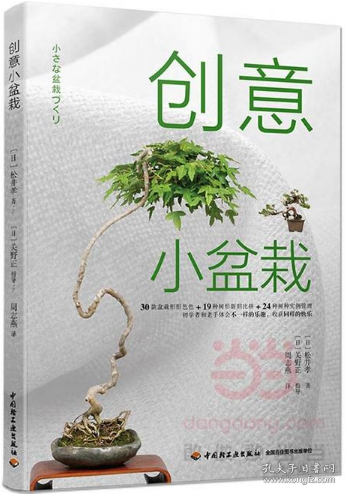 创意小盆栽