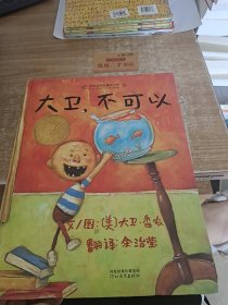 大卫，不可以(品差如图)