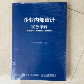 企业内部审计实务详解审计程序实战技法案例解析