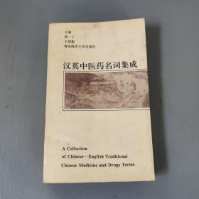 医药卫生书籍：汉英中医药名词集成      共1册售     书架墙 陆 028