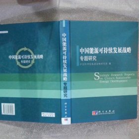 中国能源可持续发展战略专题研究