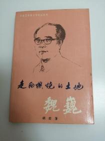 走向燃烧的土地