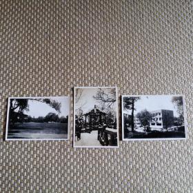朱亚杰两院院士，个人拍摄的风景照片，均为民国时期摄影，是在英国留学时旧照。3张合售。