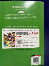 爱丽丝漫游奇境记 美绘插图版 教育部“语文课程标准”推荐阅读 名词美句 名师点评 中小学生必读书系