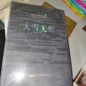 陆天明经典作品集：大雪无痕