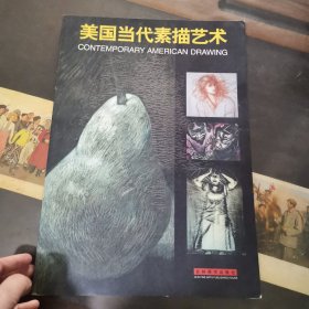 美国当代素描艺术