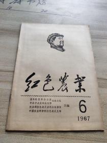 红色农业1967 6