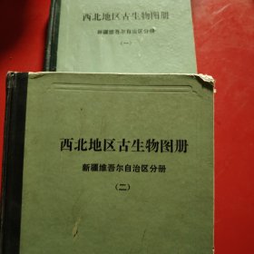 西北地区古生物图册 新疆维吾自治区分册（一）（晚元古代——早古生古代部分）（二）（晚古生代）