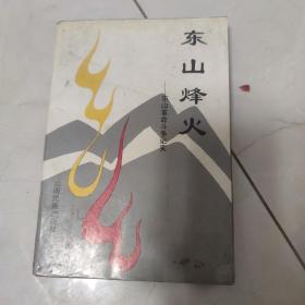 东山烽火——东山革命斗争纪实