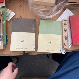 山菊花（上下）