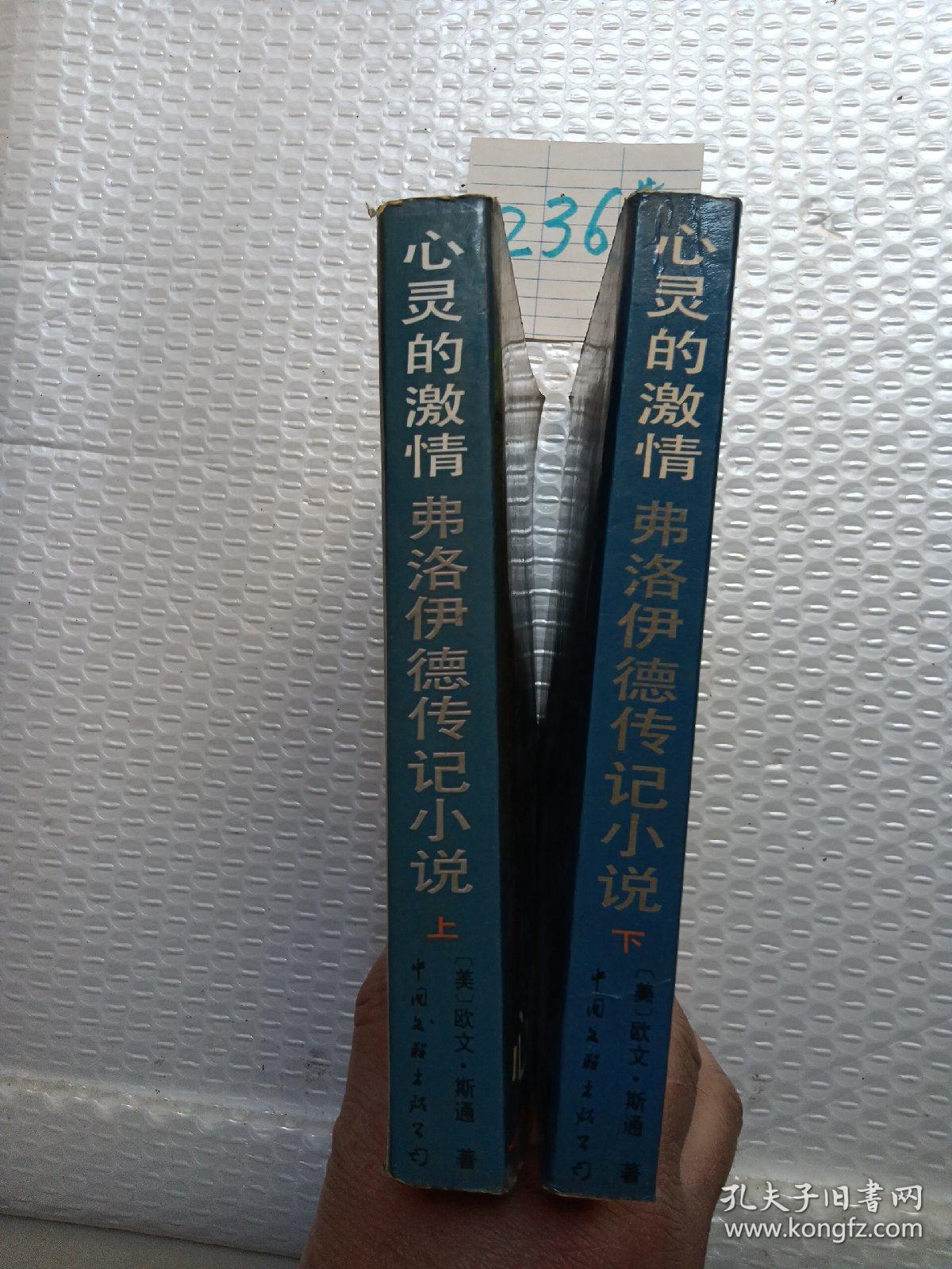 心灵的激情：弗洛伊德传记小说（上、下）