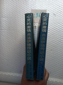 心灵的激情：弗洛伊德传记小说（上、下）