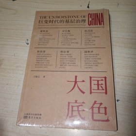 大国底色：巨变时代的基层治理 全新未拆封 正版现货