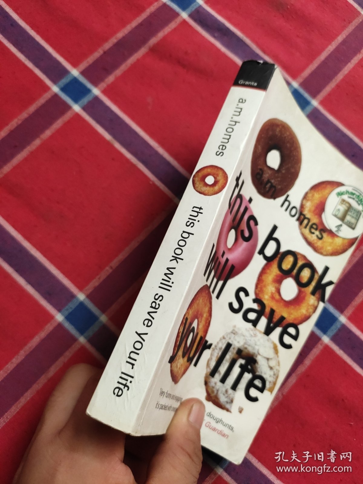 拯救生命之书 This Book Will Save Your Life by A. M. Homes（美国文学）英文原版书