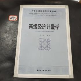 高级经济计量学