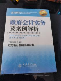 政府会计实务及案例解析