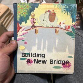 Building A NEW Bridge