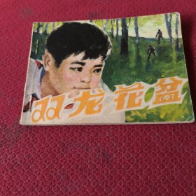 040。。。连环画。。双龙花盆