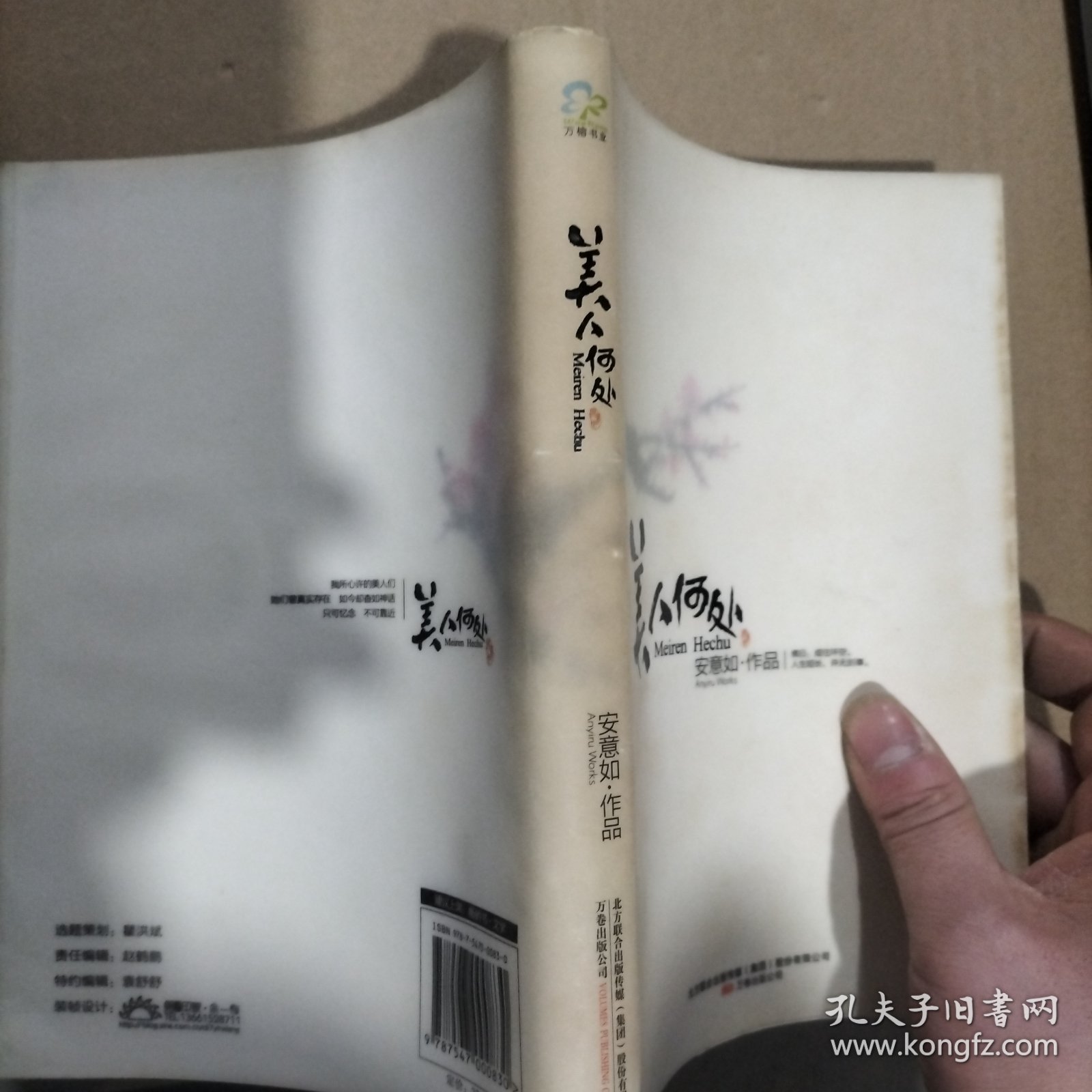 美人何处