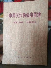 中国农作物病虫图谱，十二分册