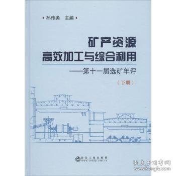 矿产资源高效加工与综合利用 第十一届选矿年评（下册）