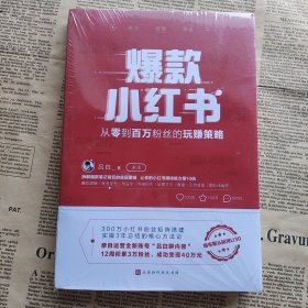 爆款小红书：从零到百万粉丝的玩赚策略