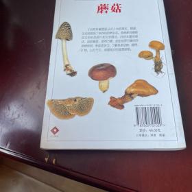 蘑菇：全世界500多种蘑菇的彩色图鉴