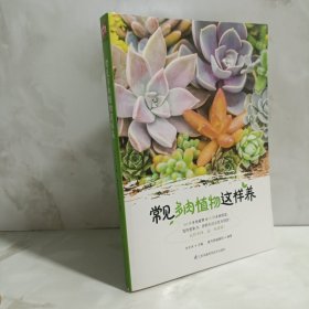 常见多肉植物这样养