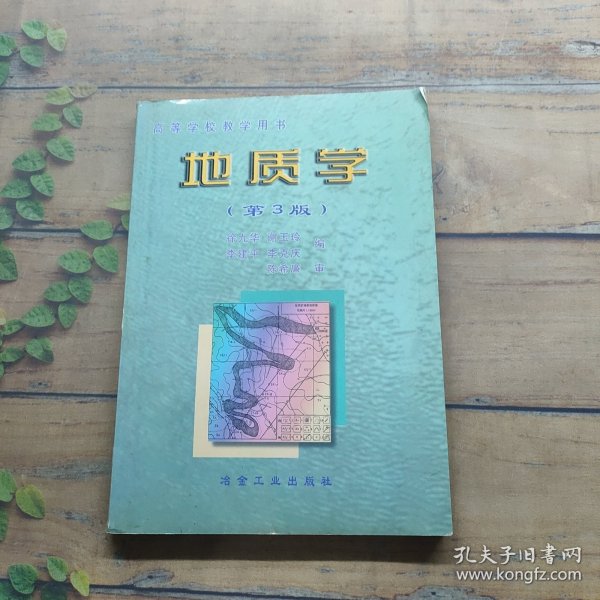 地质学——高等学校教学用书