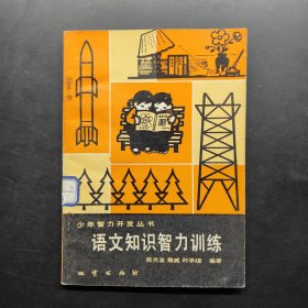 少年智力开发丛书 语文知识智力训练