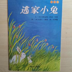 信谊绘本世界精选图画书：逃家小兔明天社假期必备课外读物