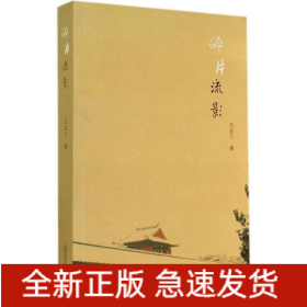 碎片流影