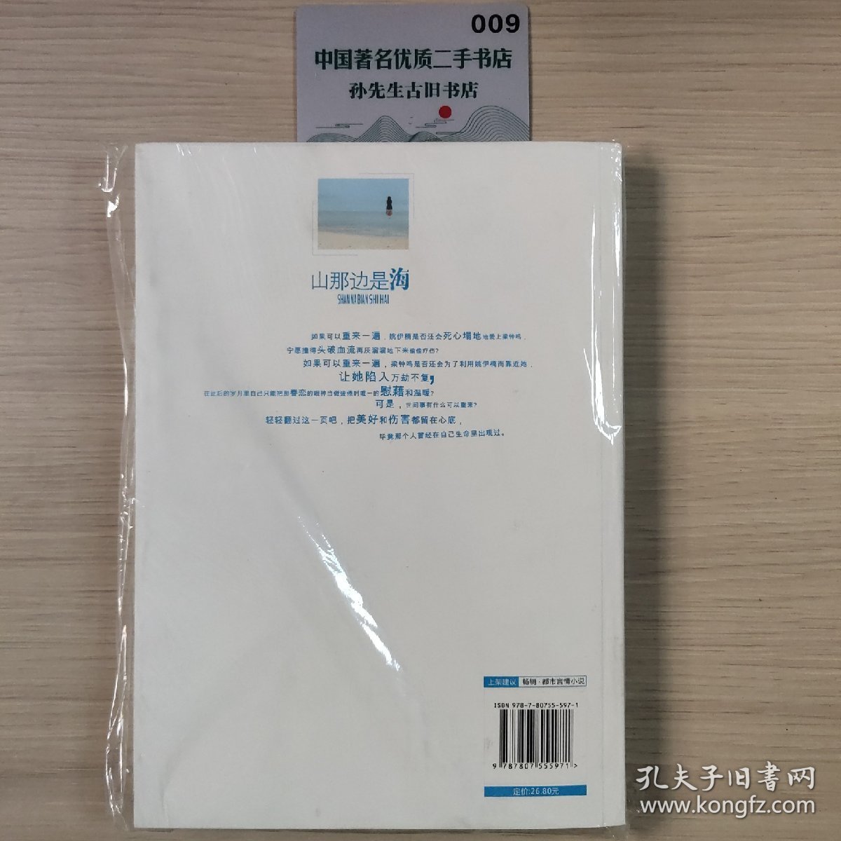 点击查看原图 山那边是海