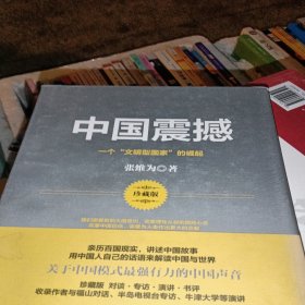 中国震撼：一个“文明型国家”的崛起