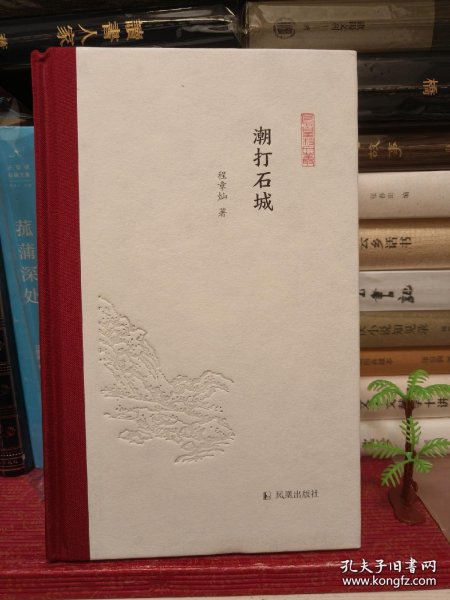 潮打石城（凤凰枝文丛）程章灿著孟彦弘、朱玉麒主编凤凰出版社（原江苏古籍出版社）