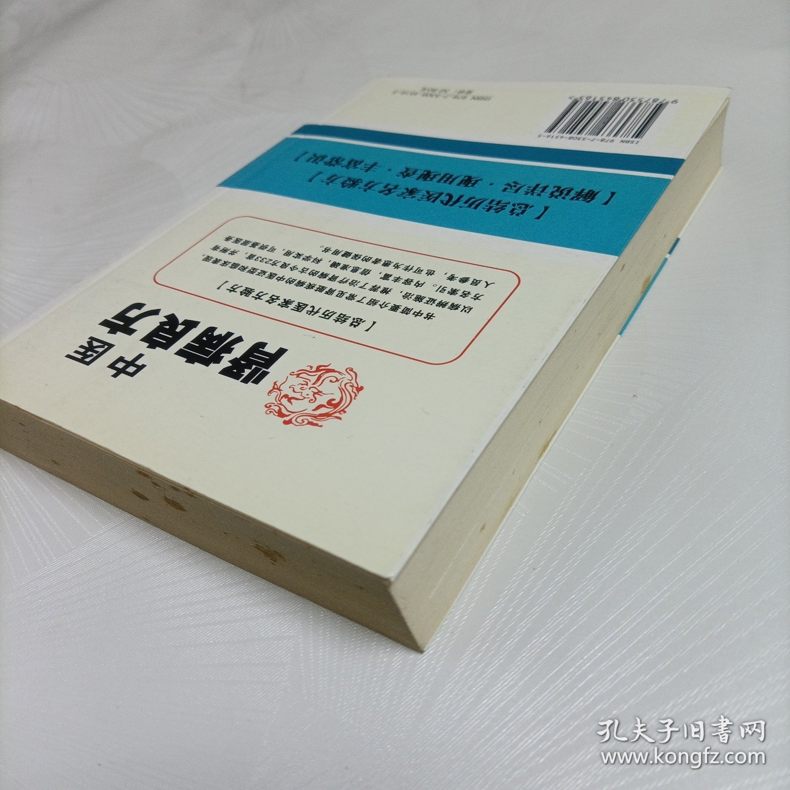 中医肾病良方【孙友良主编】