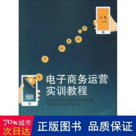 电子商务运营实训教程