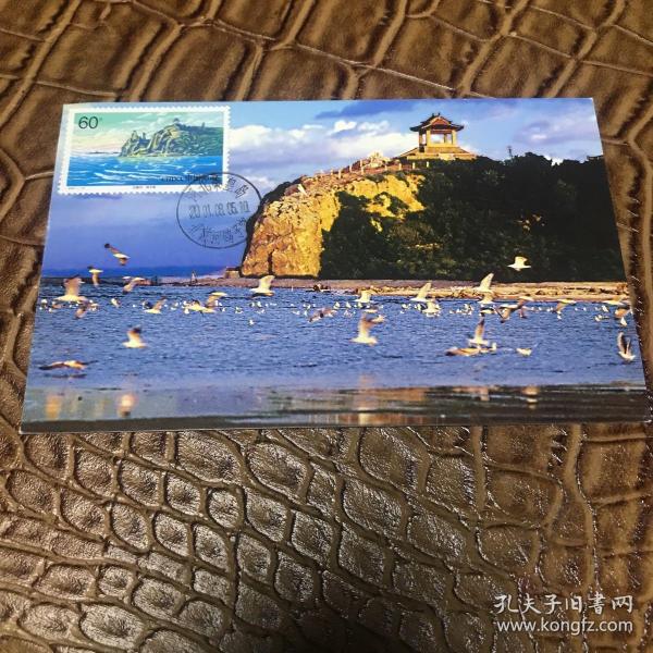 北戴河邮票极限片一套4枚
自然片、门票片组合
