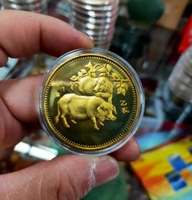 1995猪年纪念币