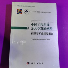 中国工程科技2035发展战略·能源与矿业领域报告