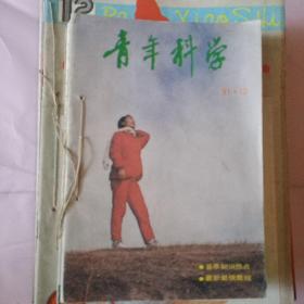 青年科学（1991年全年12本）