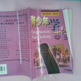 “青少年学音乐”系列丛书：青少年学古筝