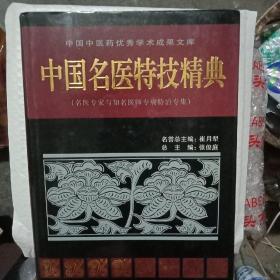 中国名医特技精典:名医专家与知名医师专病特治专集