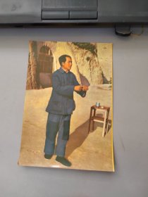 彩色：毛泽东照片 实物拍摄 8.3×2.9
